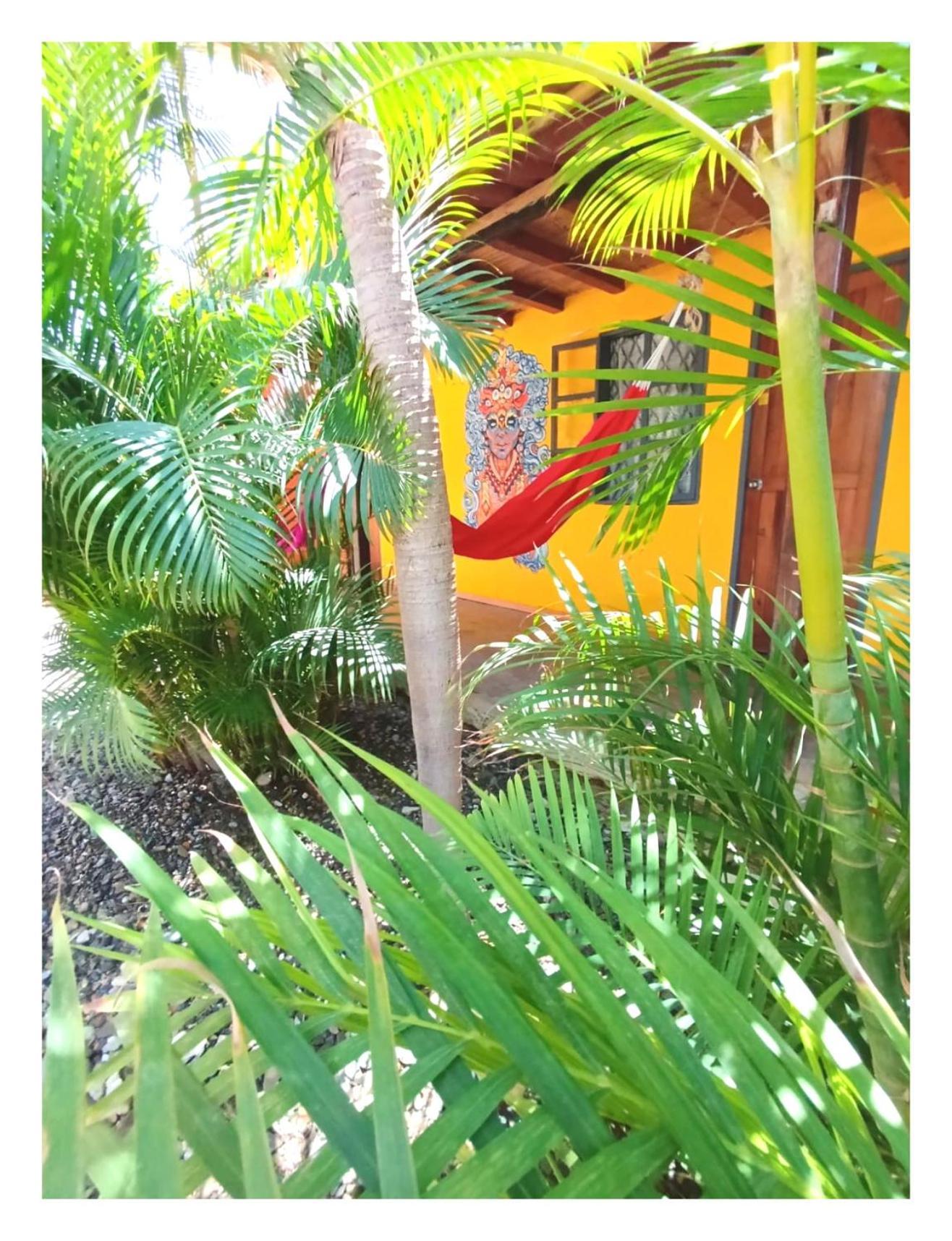 Hotel Casa Naranja à Máncora Extérieur photo